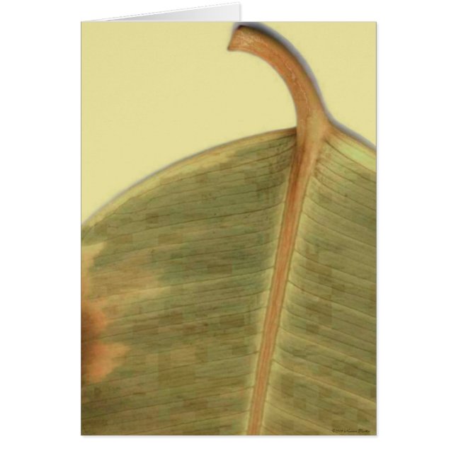 Lämna av grönt hälsningskort (Framsidan)