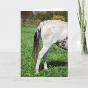 Lämna? Kort
