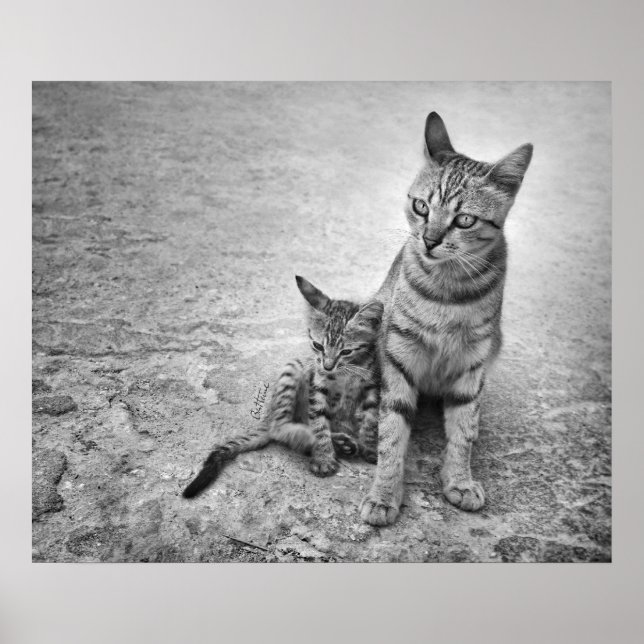 Lämna mig aldrig Ensam Poster (Framsidan)