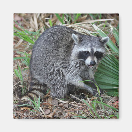 Lämna mig Ensam Magnet