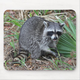 Lämna mig Ensam Musmatta