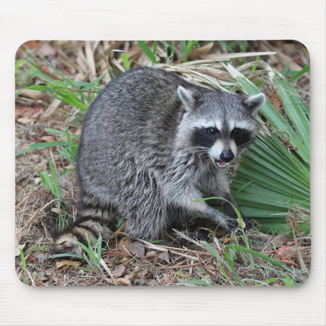 Lämna mig Ensam Musmatta (Framsidan)