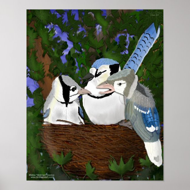 Lämna Nest Blue Jay Poster (Framsidan)