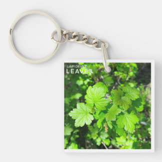 Lämna nyckelkedja