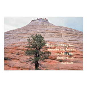 Lämna Only Footprint - Chief Seattle Quote Fototryck