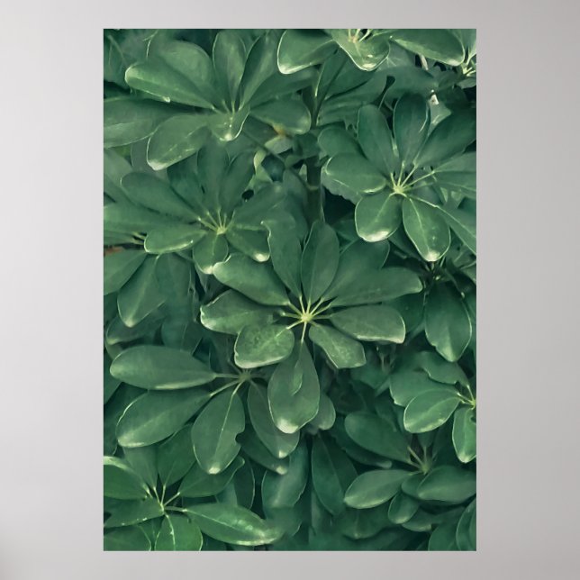 Lämna stängningsfoto poster (Framsidan)