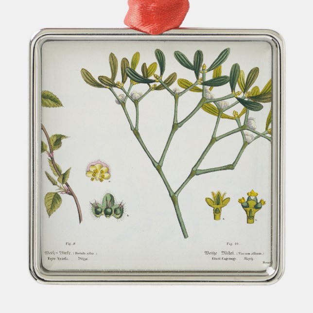 (Lämnad) björk och Mistletoe (höger), Fig. 9 och Julgransprydnad Metall (Framsidan)