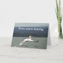 Lämnande flygfågelkort