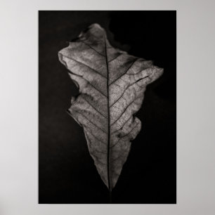 Lämnar nr 5 poster