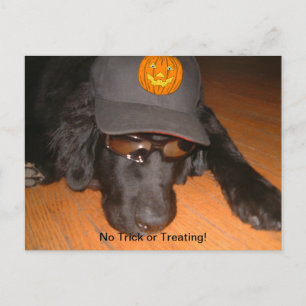 Lämnat bakom Halloween Vykort