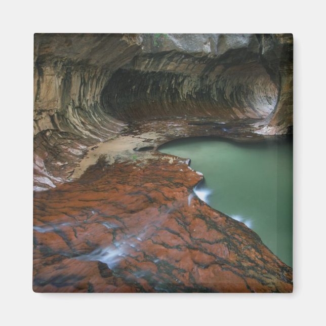 Lämnat gaffel | Zion National Park, Utah Magnet (Framsidan)
