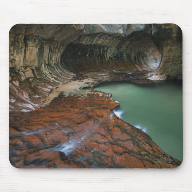 Lämnat gaffel | Zion National Park, Utah Musmatta (Framsidan)