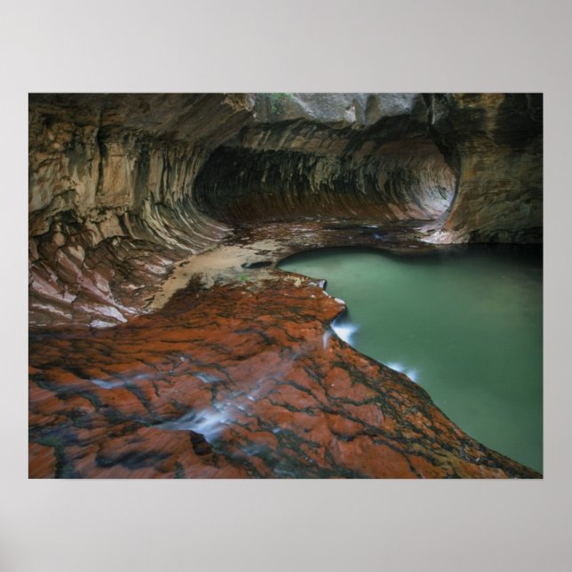 Lämnat gaffel | Zion National Park, Utah Poster (Framsidan)