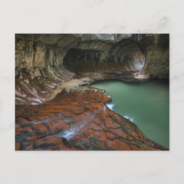 Lämnat gaffel | Zion National Park, Utah Vykort (Framsida)