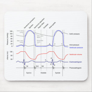 Lämnat venturirör Diagram - kardicykelhändelser Musmatta