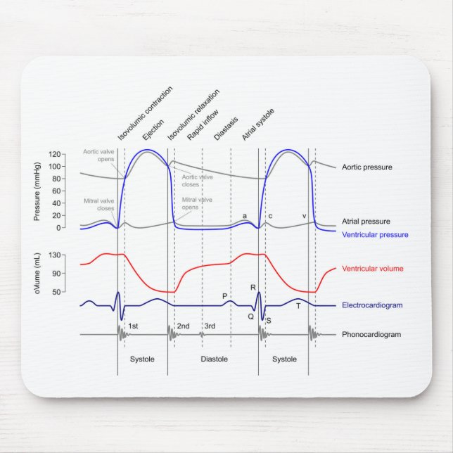 Lämnat venturirör Diagram - kardicykelhändelser Musmatta (Framsidan)
