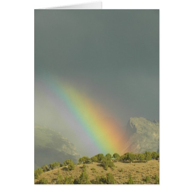 Lamoille Canyon Rainbow OBS Kort (Framsidan)