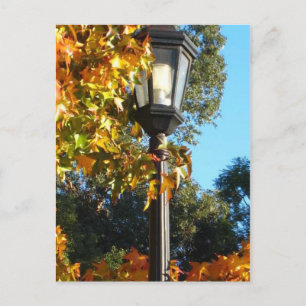 Lamp Post in Fall Vykort