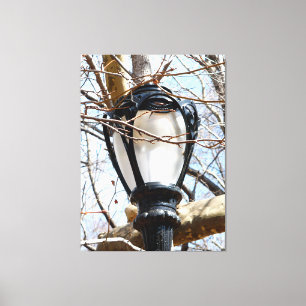 Lamp Post New York Central Park Canvastryck
