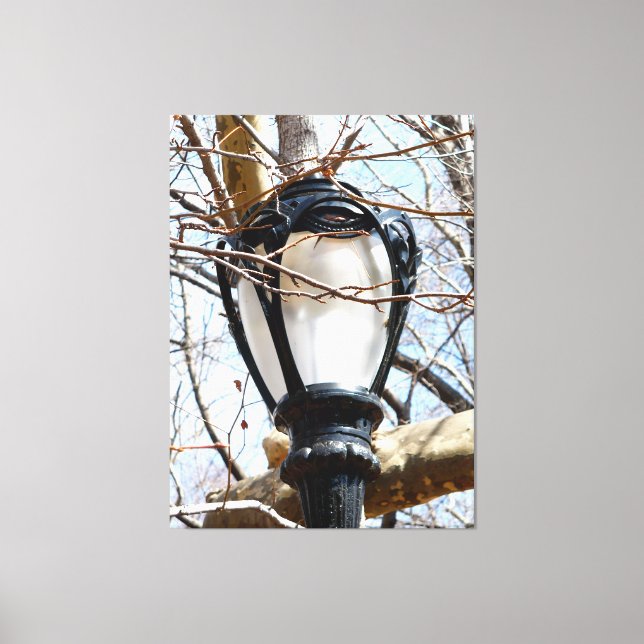 Lamp Post New York Central Park Canvastryck (Framsida)