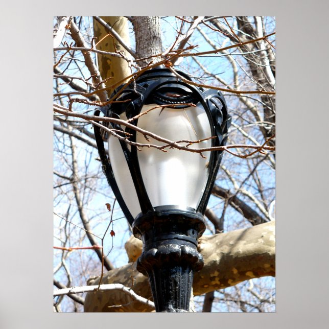 Lamp Post New York Central Park Poster (Framsidan)