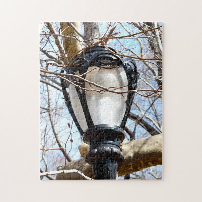 Lamp Post New York Central Park Pussel (Vertikal)