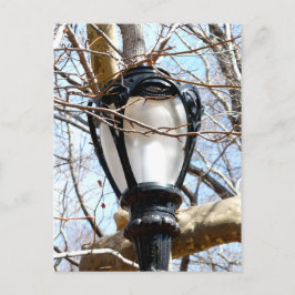 Lamp Post New York Central Park Vykort