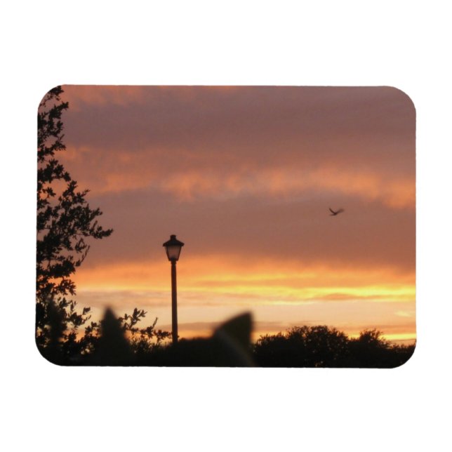 Lamp Post och Bird Magnet (Horisontell)