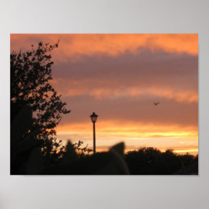 Lamp Post och Bird Poster