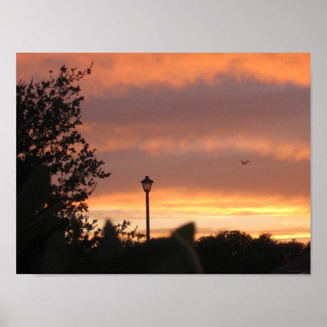 Lamp Post och Bird Poster (Framsidan)