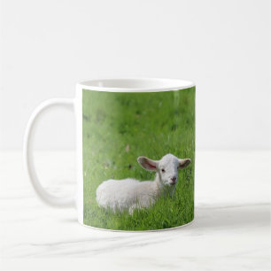 Lampa Kaffemugg