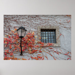 Lampa på en Grått-vägg Poster