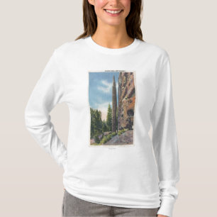 Lampglassten på den Cody huvudvägen, Montana Tee