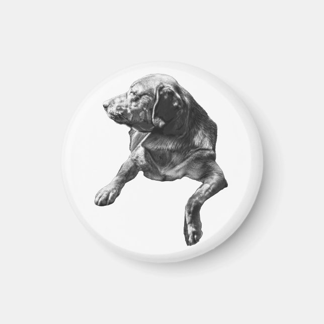 Lamplight Hush: Labrador-kontur Magnet (Framsidan)