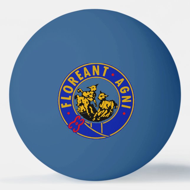 Lampor Pong Pingisboll (Framsidan)