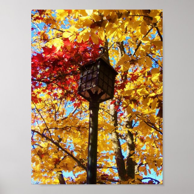 Lamppost Poster (Framsidan)