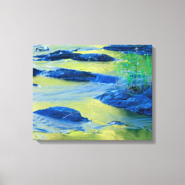 Lamprey River | New Hampshire Canvastryck (Framsida)