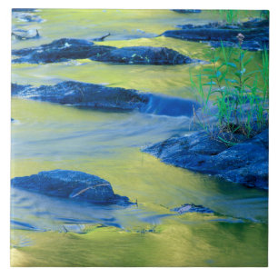 Lamprey River New Hampshire Kakelplatta