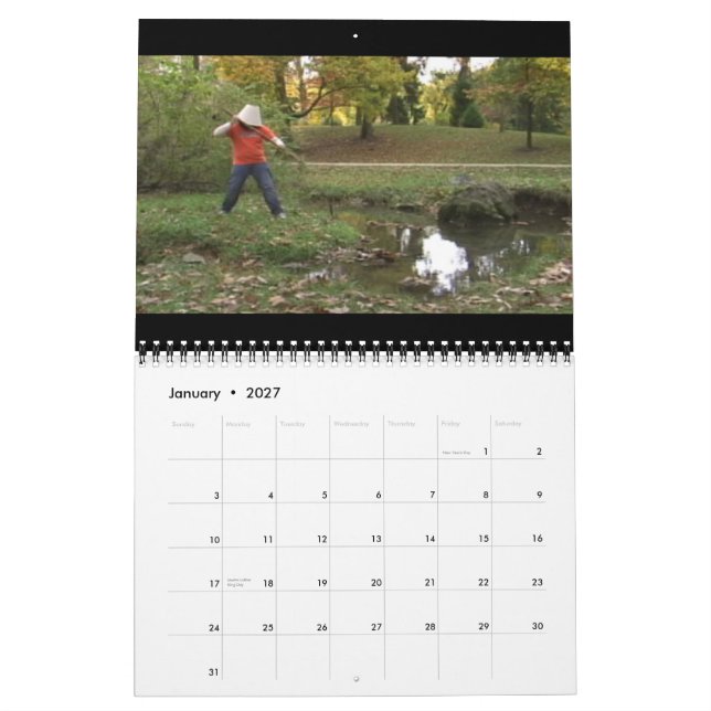 Lampshade Trilogy 2010 Calendar Kalender (Jan 2027)