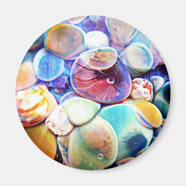 Lampwork Glass Abstrakt Underwater Stone Magnet (Framsidan)