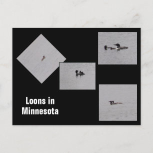 Lån i Minnesota-vykort Vykort