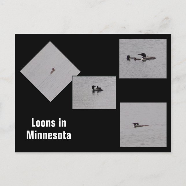 Lån i Minnesota-vykort Vykort (Framsida)