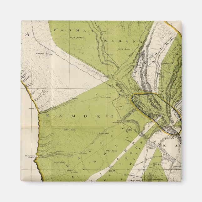 Lanai Hawaii Magnet (Framsidan)