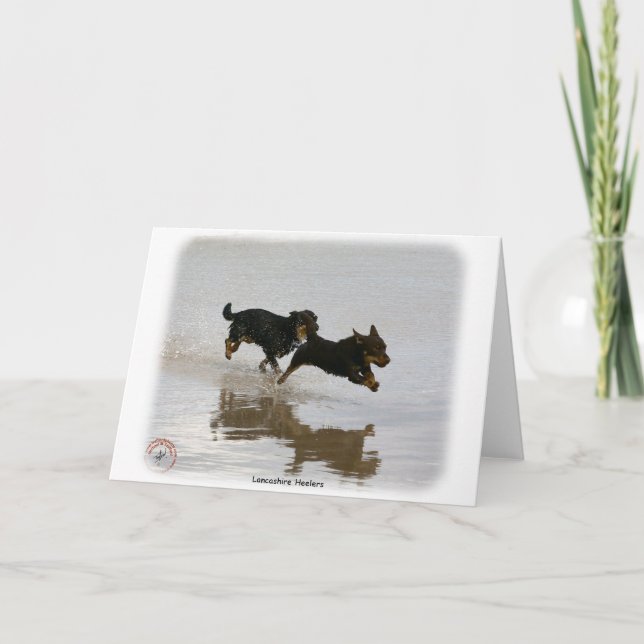 Lancashire Heeler 9R056D-182 Kort (Framsida)