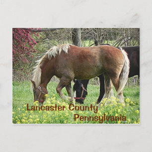 Lancaster County Pennsylvania - vykort