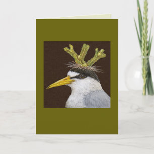 Lance of least tern card kort