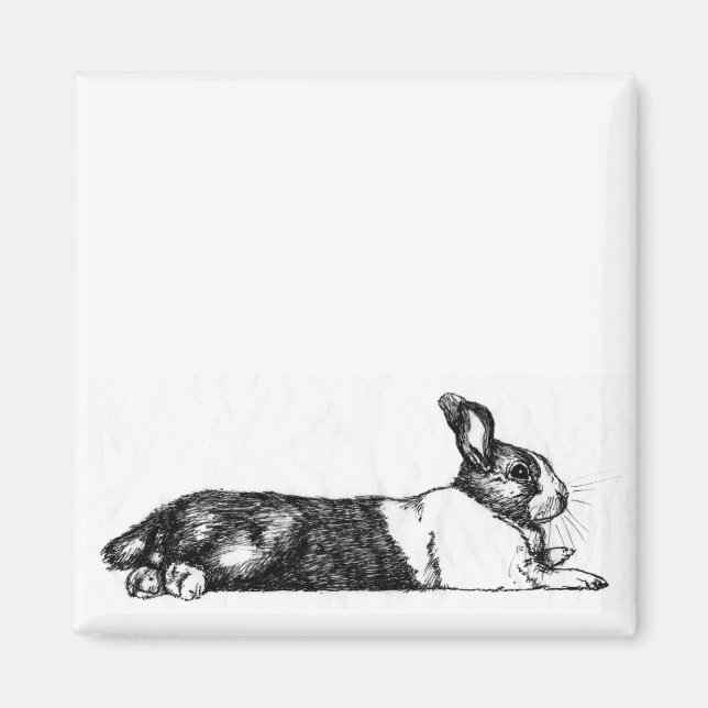 Lance the Unamused Bunneh Magnet (Framsidan)