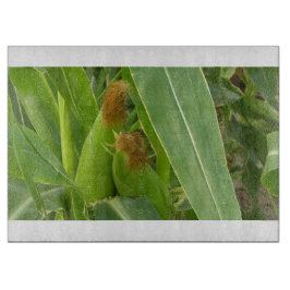 Land 109 glasstyckningsdel