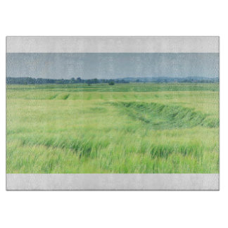 Land 81 glasstyckningsdel