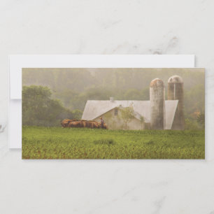 Land - Amish Farming